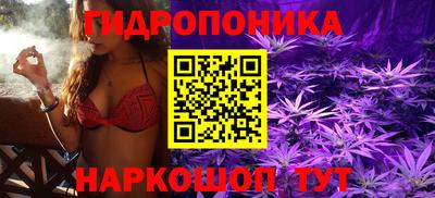 стафф Бугуруслан